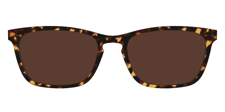 Casper Tortoisesuntop 21 Classicsuntops 3d