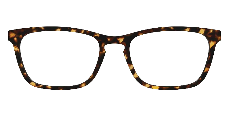 Casper Tortoise 21 Classicdesigns 3d