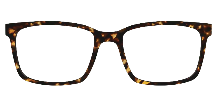 Kirby Tortoise 21 Classicdesigns 3d