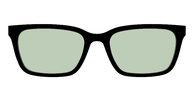 Larkin Blackwithsagegreenlens 25 Tintlens 3d