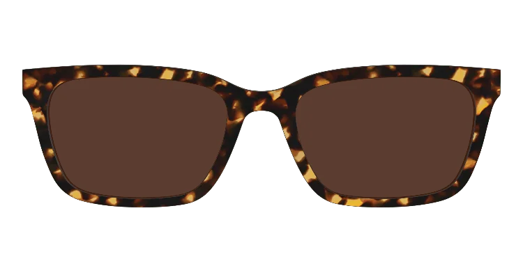 Larkin Tortoisesuntop 21 Classicsuntops 3d