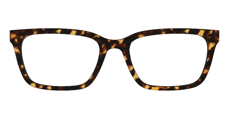 Larkin Tortoise 21 Classicdesigns 3d