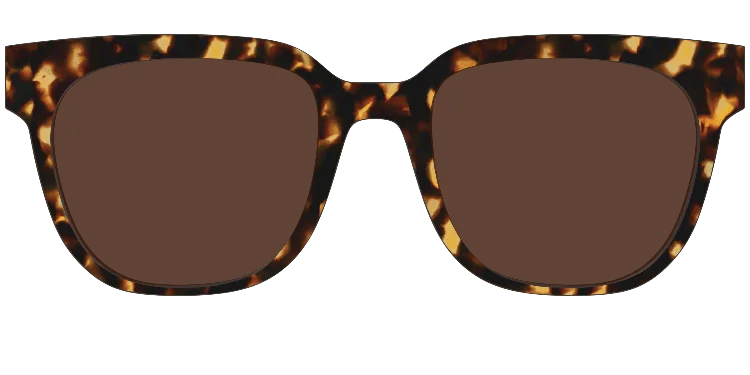 Murphy Tortoisesuntop 21 Classicsuntops 3d