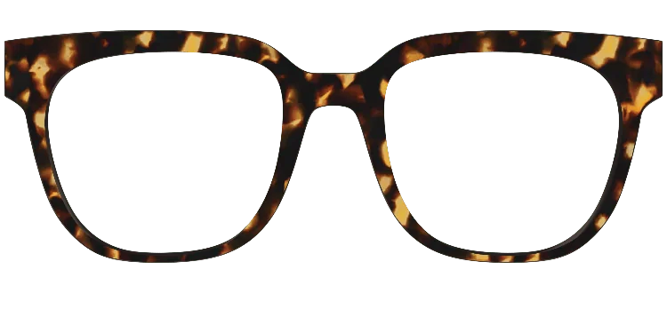 Murphy Tortoise 21 Classicdesigns 3d