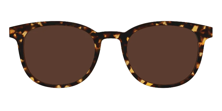 Reese Tortoisesuntop 21 Classicsuntops 3d