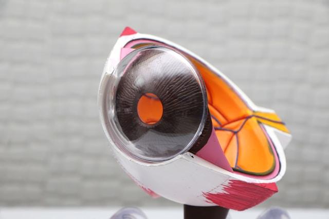 eye health education